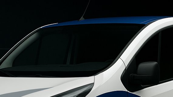 Mosaïque murale test1 - PEG PIXEL mosaïste Lyon